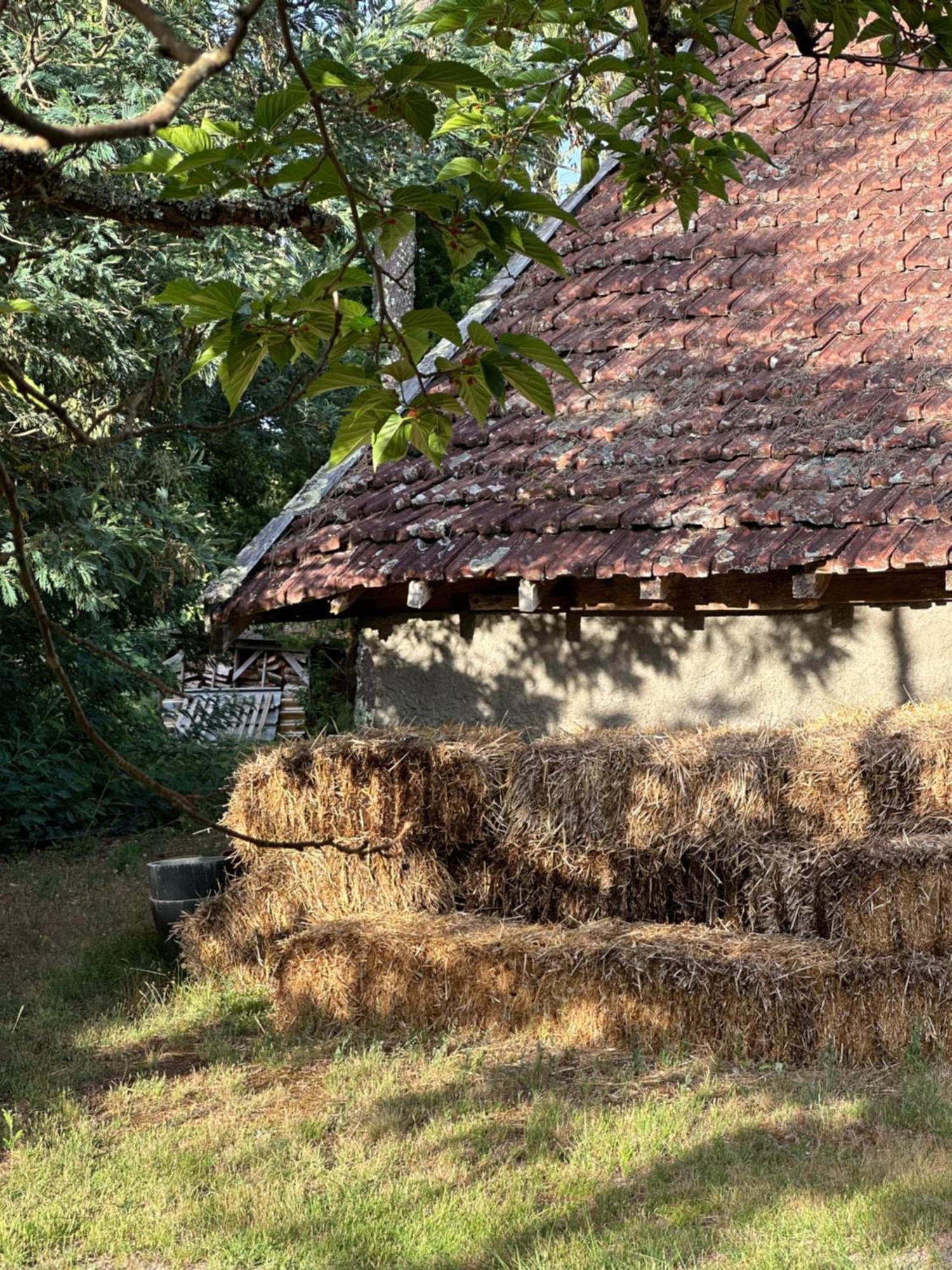 Gasthuis La Ferme Du Miouat *